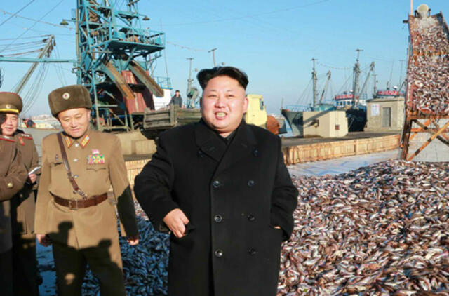 JT siekia TBT tyrimo dėl žmogaus teisių padėties Šiaurės Korėjoje