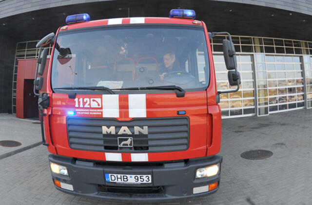 Padegėliai troško gaisrų dūmuose