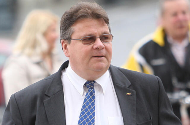 Užsienio reikalų ministras ragina palaikyti spaudimą Rusijai