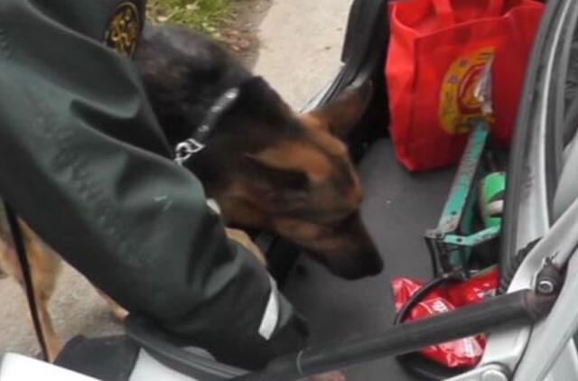 Aptiktas labai didelis kiekis narkotikų