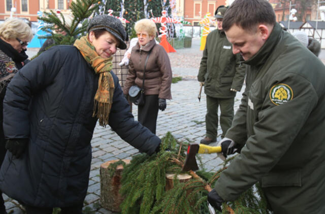 Miškininkai kviečia: parsinešk Kalėdas į namus