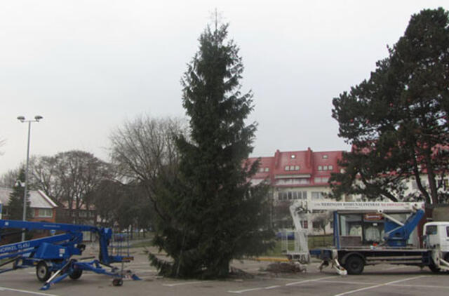 Neringoje Kalėdomis dar nekvepia