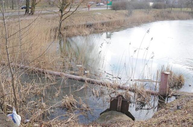 Apie aplinkos tyrimus - mokslininkų kalba