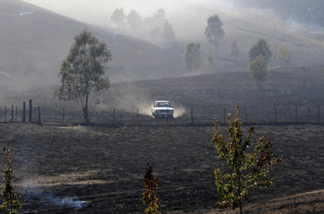 Australijoje ugniagesiai kovoja su miškų gaisrais