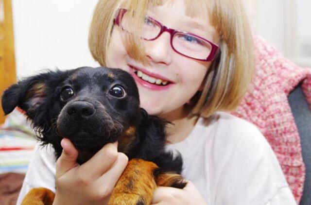 Laimingos istorijos: bjaurieji ančiukai, tapę gulbėmis (3)