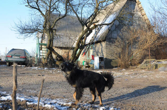 Šalia gimnazijos - išniekintas gyvūnas