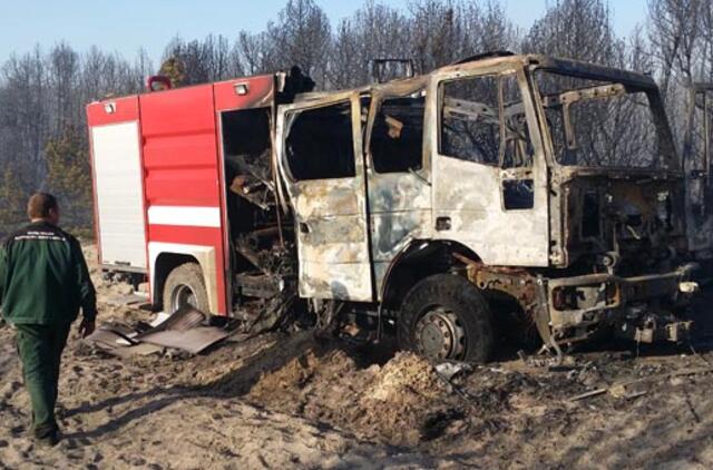 Kuršių nerijos miškai pereis į miškininkų rankas