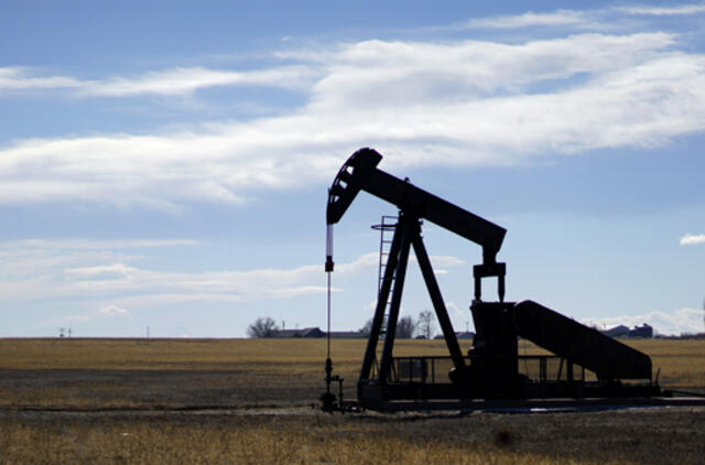 OPEC: pasaulinės naftos gavybos augimas kenkia skalūnų naftos gavybai JAV