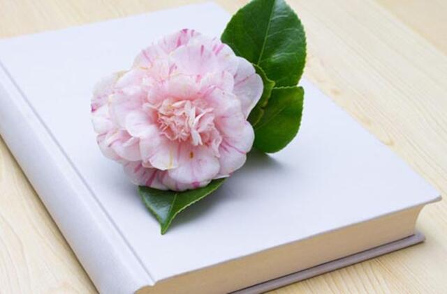 Dovanų horoskopas: ką padovanoti mamai?