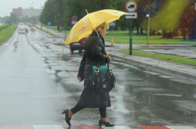 Artimiausiomis dienomis šilumos nesulauksime