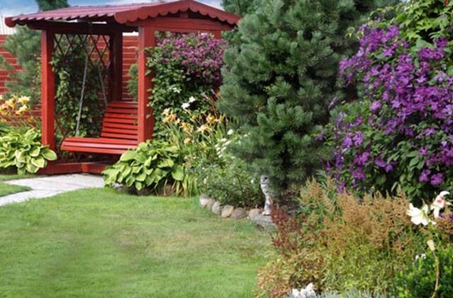 Kerinčios sodo raganos