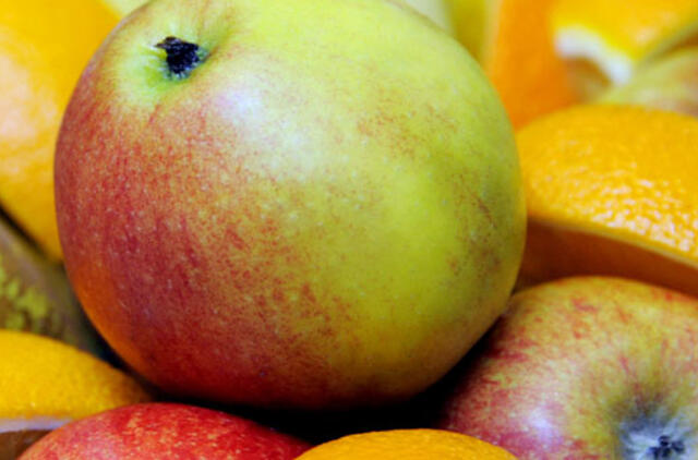 KKKC Meno kieme – tradicinės kūrybinės dirbtuvės senjorams