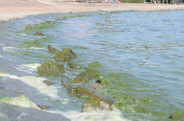 Kuršių mariose ant seklumos buvo užplaukusi jachta