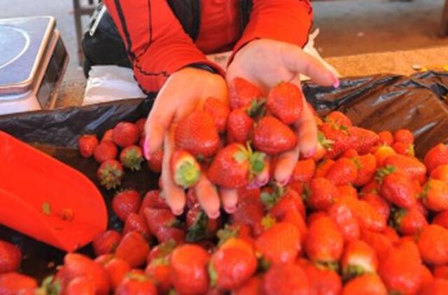 Lietuviškas braškes išduoda kaina