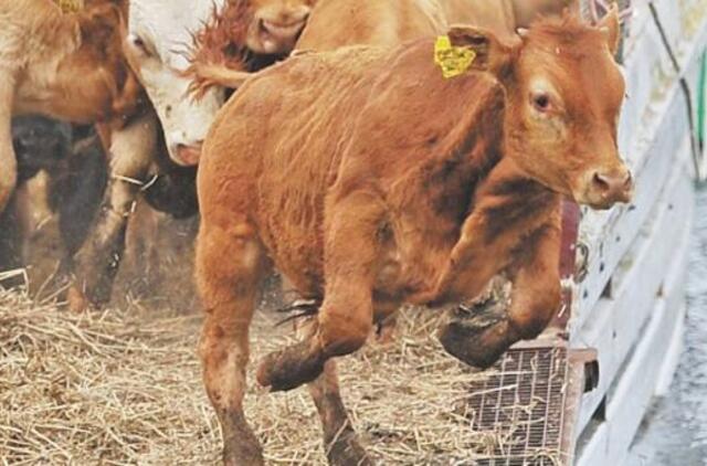 Lietuvos ūkininkų sąjungos pirmininkas Jonas Talmantas: Dar per gerai gyvename