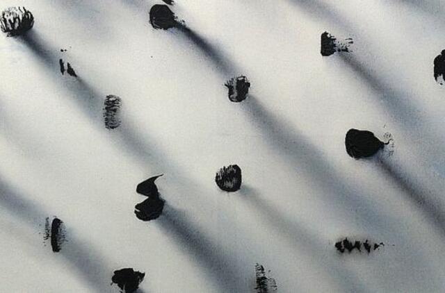 Baroti galerijoje - paroda "Maži. Dideli. Dalykai."