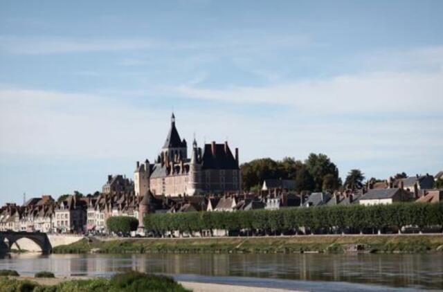 Garsiausios Prancūzijos pilys (8)