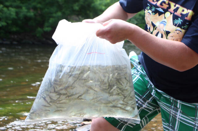 Įstatymo pataisa sumažintų žvejybos įmonėms mokestinę naštą