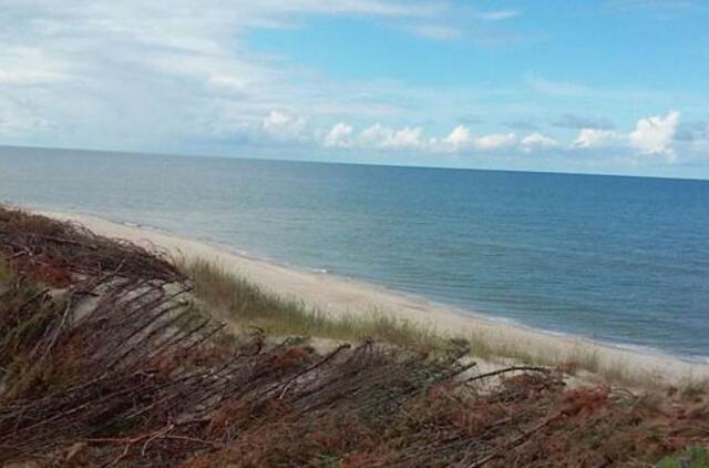 Smėlis nemėgsta triukšmo