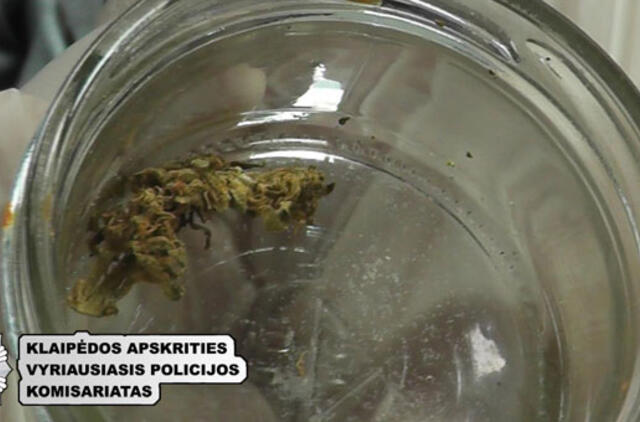 Uostamiestyje bus teisiami kvaišalų platintojai