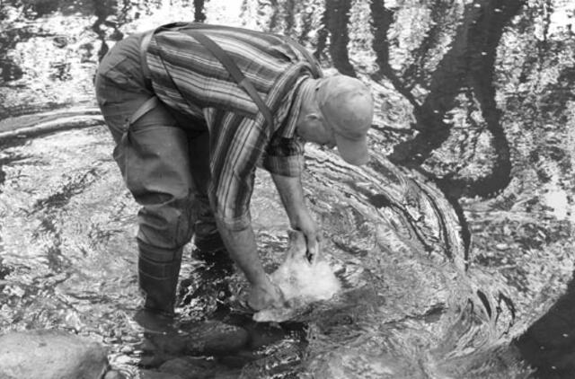 Paroda "Lietuvos spaudos fotografija" antrą kartą atvyksta į Klaipėdą