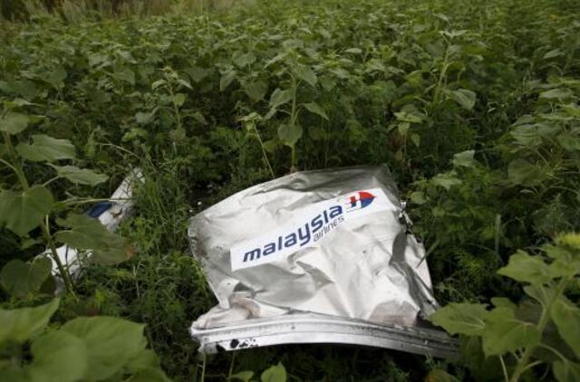 Penkios šalys reikalauja JT Saugumo Tarybos tribunolo dėl Malaizijos lėktuvo numušimo