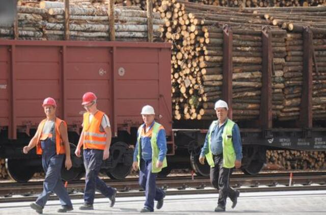VMI tikrins medieną parduodančius gyventojus ir įmones