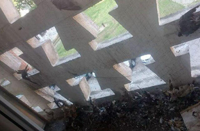 Balkone - kalnai nugaišusių balandžių