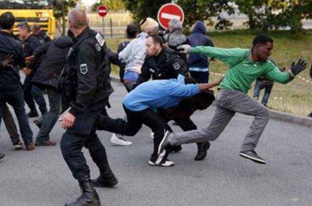 Beturčiai nelegalai - rakštis valstybei