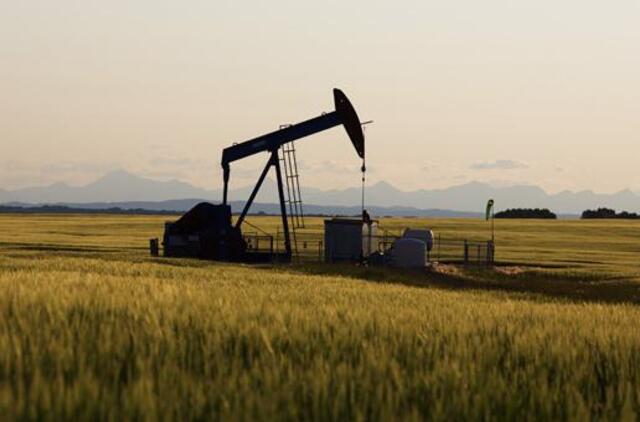 "Brent" markės naftos kaina pasiekė 48 JAV dolerius