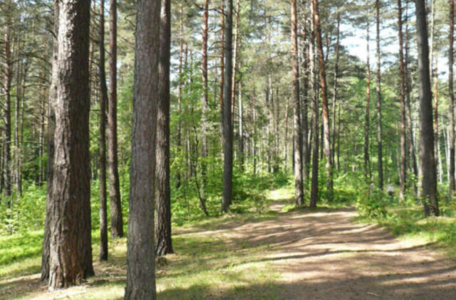 Dėl karščių Lietuvoje bus siūloma riboti patekimą į miškus