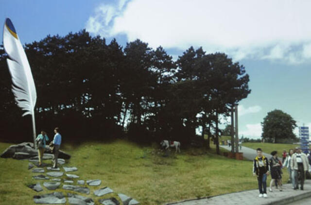 Dėl švedų dovanos susiginčijo su vilniečiais