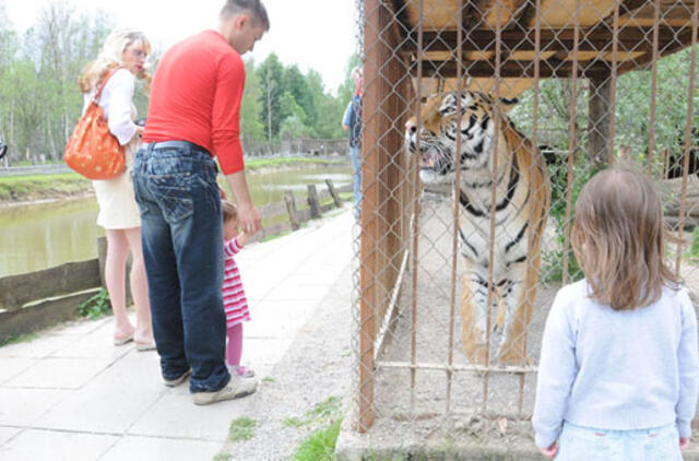 Gyvūnai liko be delikatesų