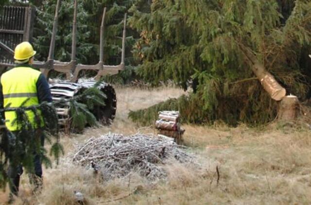 Kertami miškai gena gyvates pas žmones