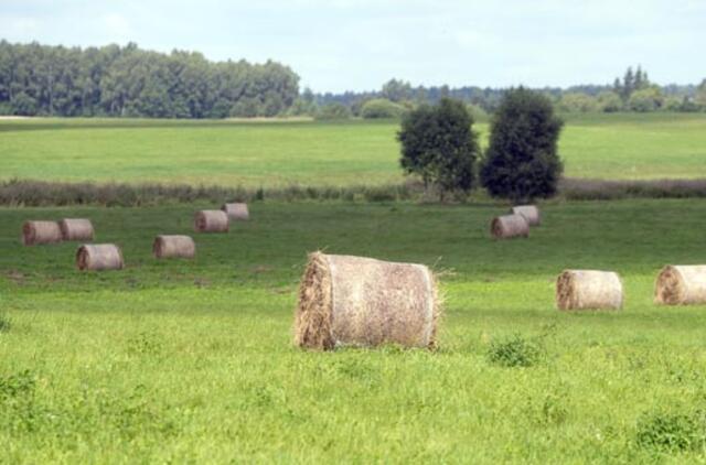 Lietuvoje dar neįteisinta 15 tūkst. ha ūkių žemės