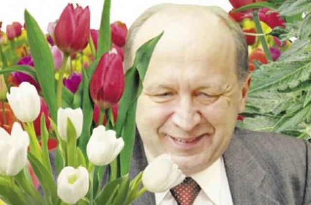 Olandijai skubiai prireikė Andriaus Kubiliaus pagalbos