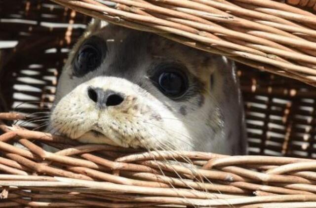 Orai: ilgėjančios naktys atvėsins ir dienas