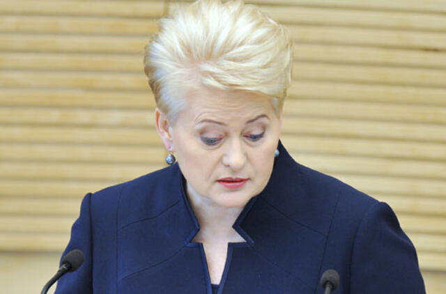 Prezidentė ragina VMI atkreipti dėmesį į "VP grupę"