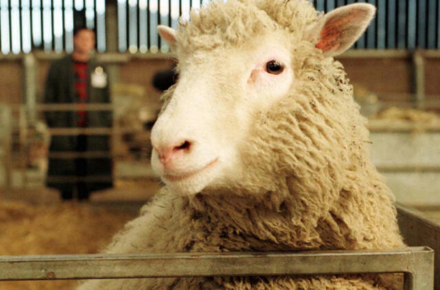 Europos Parlamentas tarė "ne" klonuotiems gyvūnams