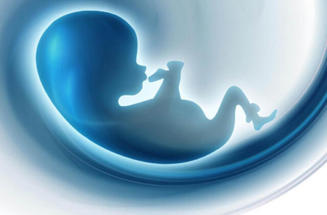 Popiežius leido kunigams dovanoti aborto nuodėmę