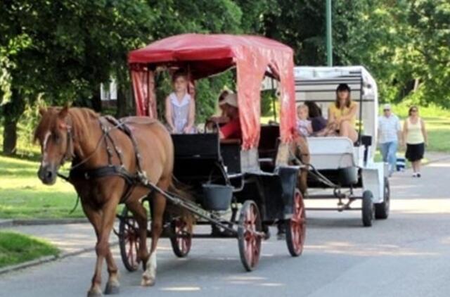 Smiltynei ruošiamas naujas mokestis