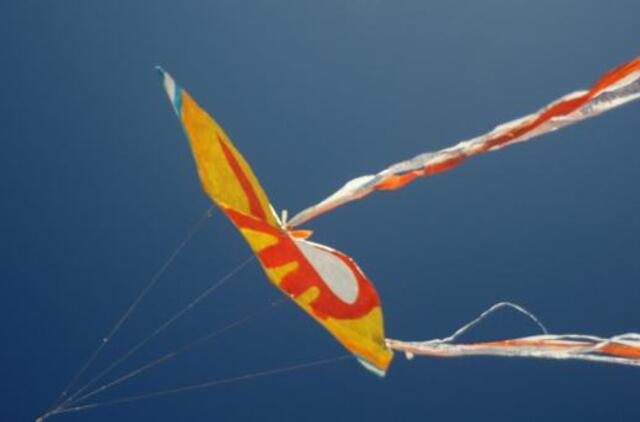 Stalo šventės dieną Palangai rekordą neš aitvarai