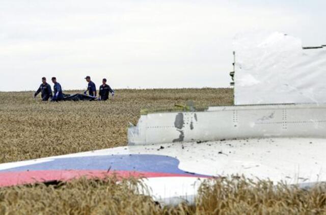 Olandai paskelbs tyrimo išvadas dėl Malaizijos oro linijų lėktuvo MH17 katastrofos