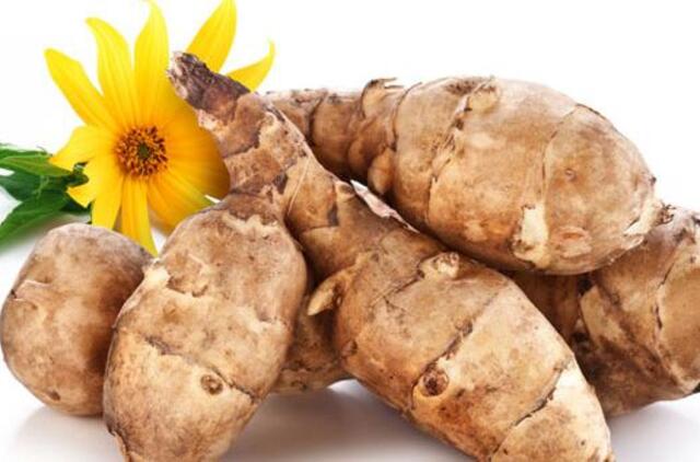 Topinambas: nei bulvė, nei saulėgrąža