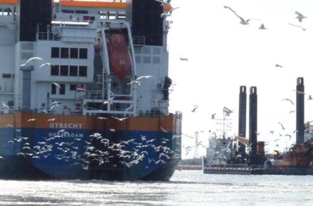 1000 dienų Klaipėdos uoste