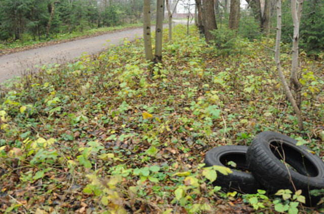 Padangų keitimo sezonas: neatsakingiems gresia baudos