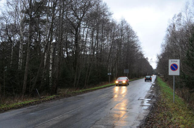 Rekonstruojant gatvę aukos mišką