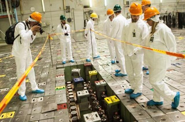 Sukčiai melžė Ignalinos atominę