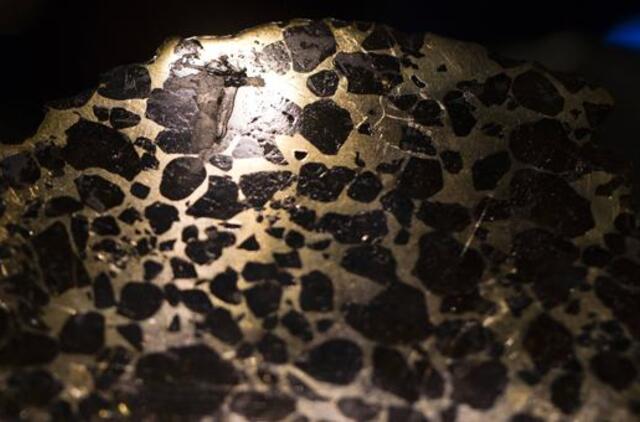 Aukcione Prancūzijoje už šimtus tūkstančių eurų parduoti... meteoritai