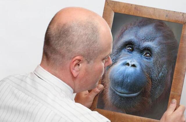 Bulvaras: Naujametinis palinkėjimas